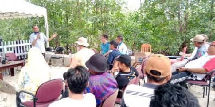 BCL Akan Tanam 44 Ribu Mangrove di Parimo