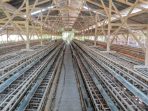 Harga Telur di Tingkat Peternak, Pedagang dan Konsumen Terus di Pantau