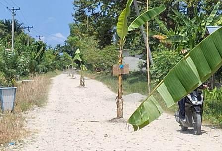 Imbas Jalan Rusak dan Berdebu, Kades Malakosa : Banyak Warga Menderita ISPA