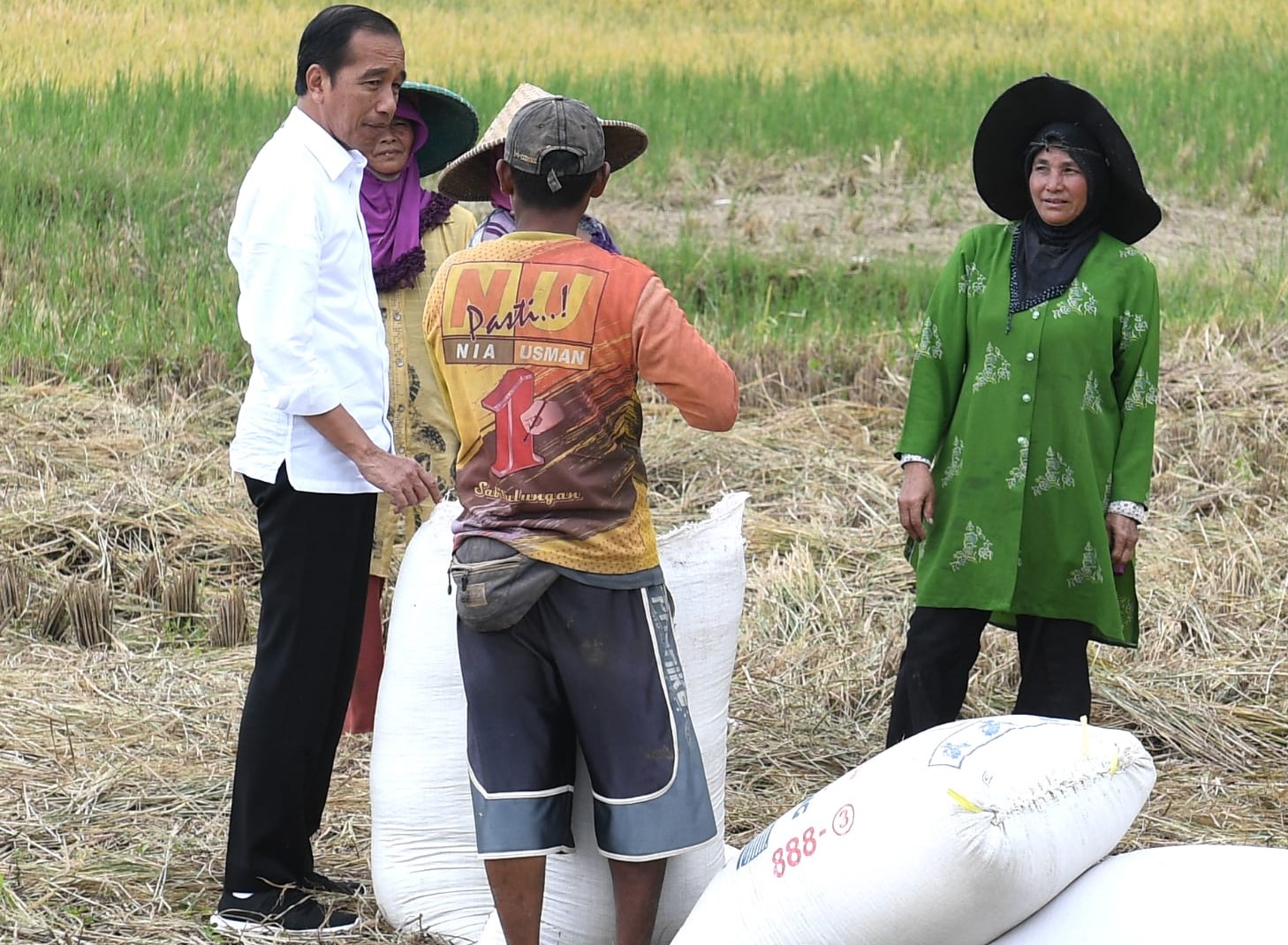 Jokowi Panen padi di Subang