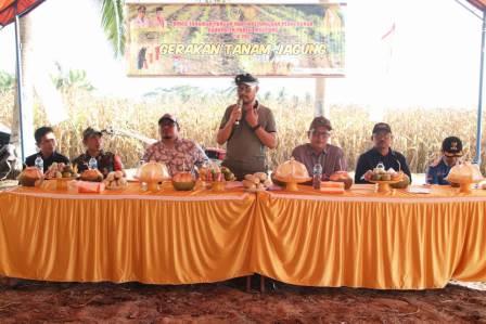 Dinas TPHP Diminta Akomodir Kebutuhan Petani Jagung di Kecamatan Bolano