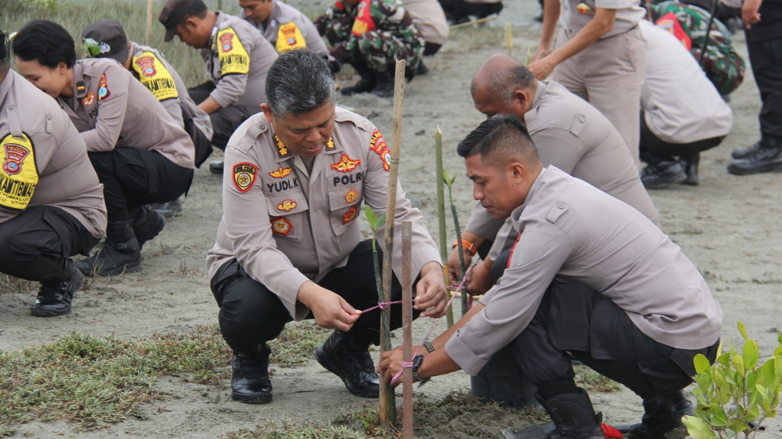 Polda Sulteng tanam 1000 bibit mangrove di Pantai Popa