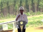 Proyek IKN Belum Laku di Investor Asing