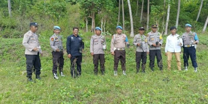 Polsek Walea Kepulauan Tanam 50 Bibit Pohon Pala di Lingkungan Mako Polsek