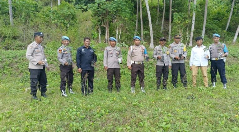 Polsek Walea Kepulauan Tanam 50 Bibit Pohon Pala di Lingkungan Mako Polsek