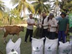Pemkab Parimo Canangkan Kawasan Sentra Produksi Ternak di Parigi Selatan