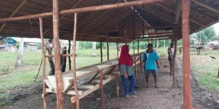 DISPKH Parimo Rencana Usulkan Pembangunan Rumah Pakan Silase di Desa Sakina Jaya