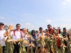 Mentan Amran Sebut Provinsi Sumut Berpotensi Penuhi Pangan Negara Lain