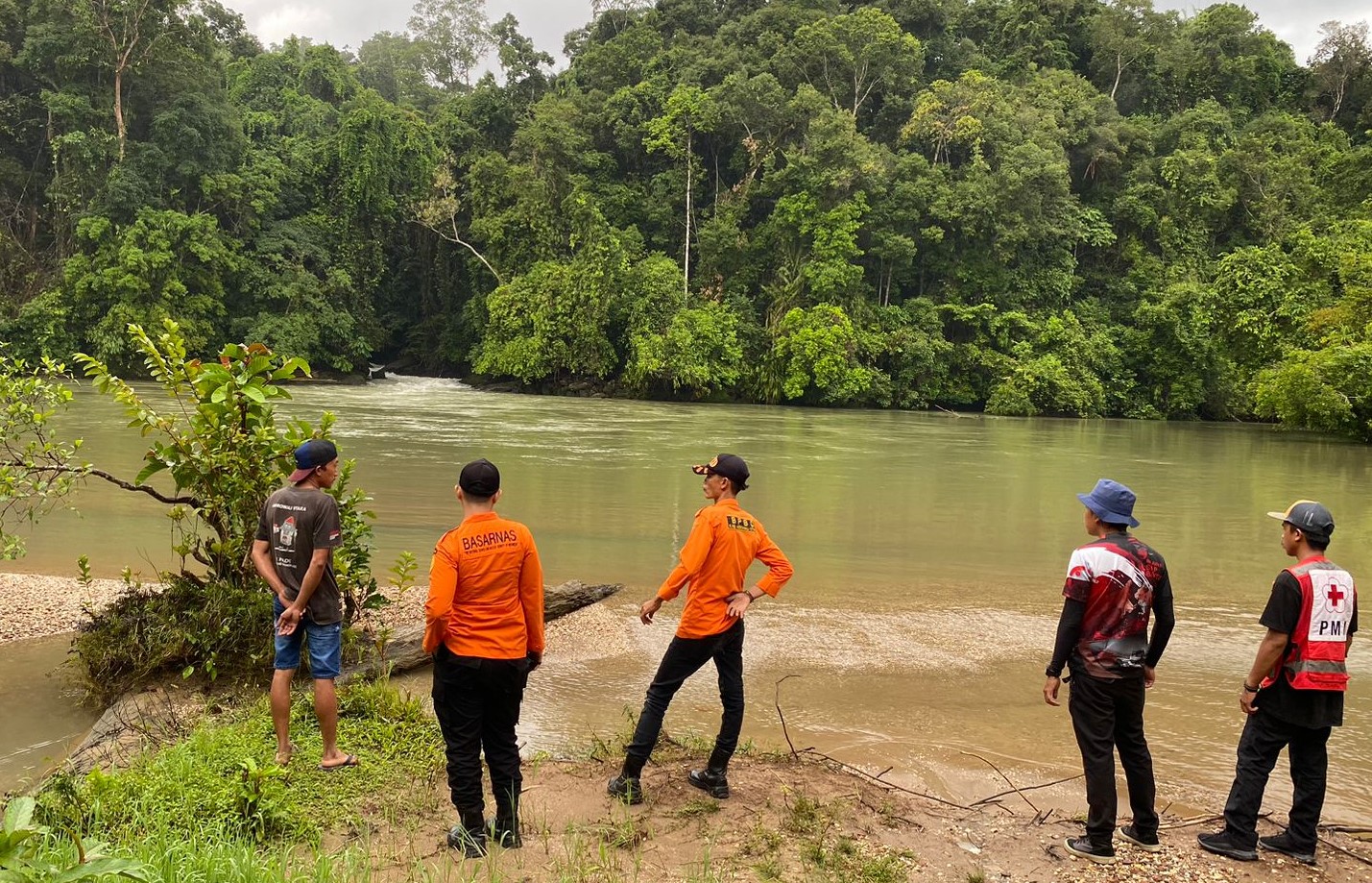 Tak Kunjung Kembali dari Hutan, Warga di Morowali Utara Dilaporkan Hilang