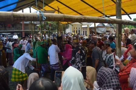 Sambut Musim Panen Padi, Petani diDesa Kasimbar Palapi Gelar Mappadendang