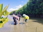 LPAP El Capitan Indonesia Tanam Ribuan Bibit Mangrove Peringati Hari Mangrove Sedunia