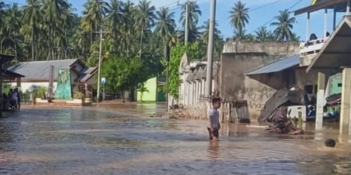 BPBD Parimo Rilis Data Terbaru Jumlah Pengungsi Baanjir di Desa Bolano