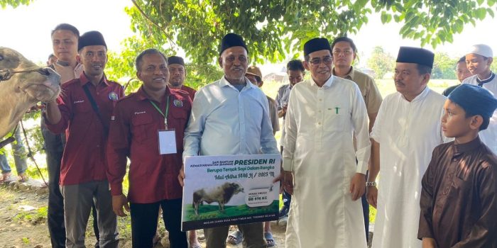 Bupati Parimo Salurkan Sapi Kurban Presiden di Desa Tada Timur