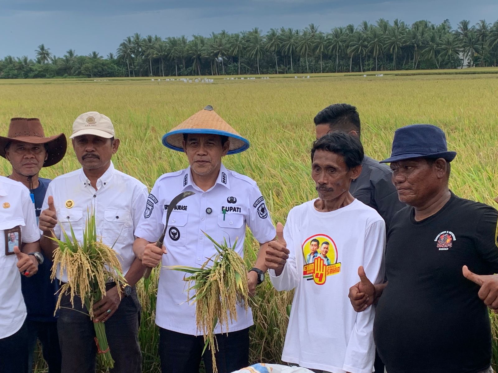 Bupati Pimpin Panen Padi Perdana di Kasimbar Palapi
