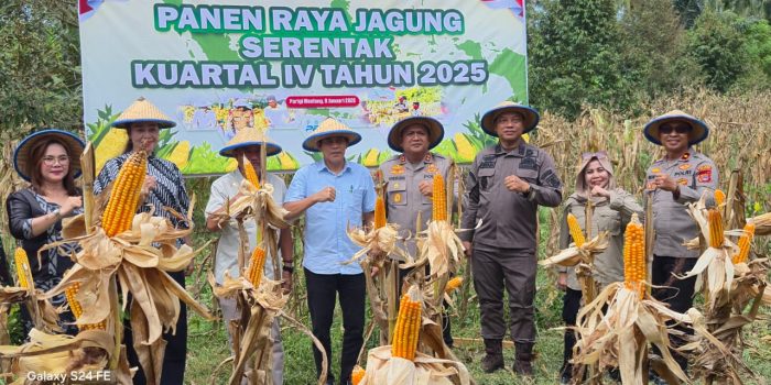 Polres Parimo Panen Raya Jagung, Produksi Kuartal IV Ditargetkan 40 Ton