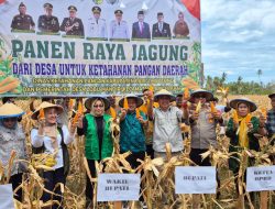 Panen Raya Jagung Desa Lobu, Wabup Tegaskan Peran Pemerintah Dampingi Petani
