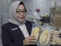 KADIN dan APDURIN Parimo Kawal Ekspor Perdana Durian Beku ke Tiongkok