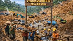 Peti Buranga Kembali Makan Korban, Penambang Tewas Tertimbun Longsor
