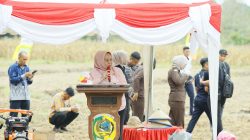 Pemda Parimo–Kejati Sulteng Tanam Jagung, Dukung Swasembada Pangan