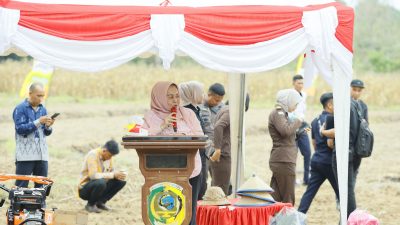 Pemda Parimo–Kejati Sulteng Tanam Jagung, Dukung Swasembada Pangan