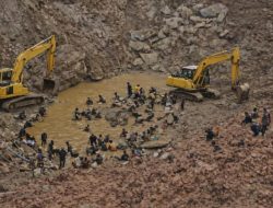 PETI Masih Ditemukan di Sejumlah Wilayah Parimo