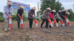 Dukung Program Nasional, Polres Parimo Tanam Jagung Serentak Perkuat Ketahanan Pangan