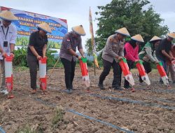Dukung Program Nasional, Polres Parimo Tanam Jagung Serentak Perkuat Ketahanan Pangan