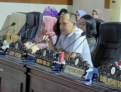 Sudah Makan Korban, DPRD Minta Pohon Rawan Tumbang Segera Ditangani