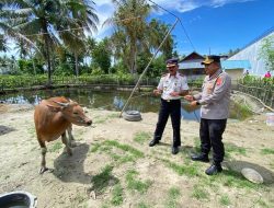 Wujud Kepedulian Sosial, Polres Parimo Salurkan Hewan Kurban