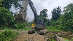 Peti Tombi Diduga Rambah Kawasan Hutan Produksi