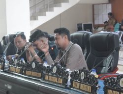 Ironi Tinombo Selatan: Lumbung Pangan Nasional Dikepung PETI