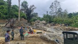 Peti Tombi Diduga Rambah Kawasan HP, Kapolda Sulteng Didesak Tindak Pelaku