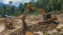 Tambang Emas Ilegal di Sipayo Diduga Rusak Hutan Produksi