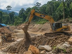 Tambang Emas Ilegal di Sipayo Diduga Rusak Hutan Produksi