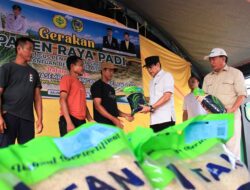 Dorong Swasembada Pangan, Pemkab Parimo Salurkan Benih Padi di Balinggi