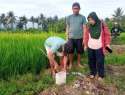 Bantu Kelompok Tani, PPL Dinas TPHP Parimo Gelar Gerdal Hama Tikus.