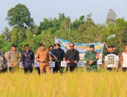 Panen Perdana Cetak Sawah di Kasimbar, Bupati Parimo Sebut Produksi Padi Menurun